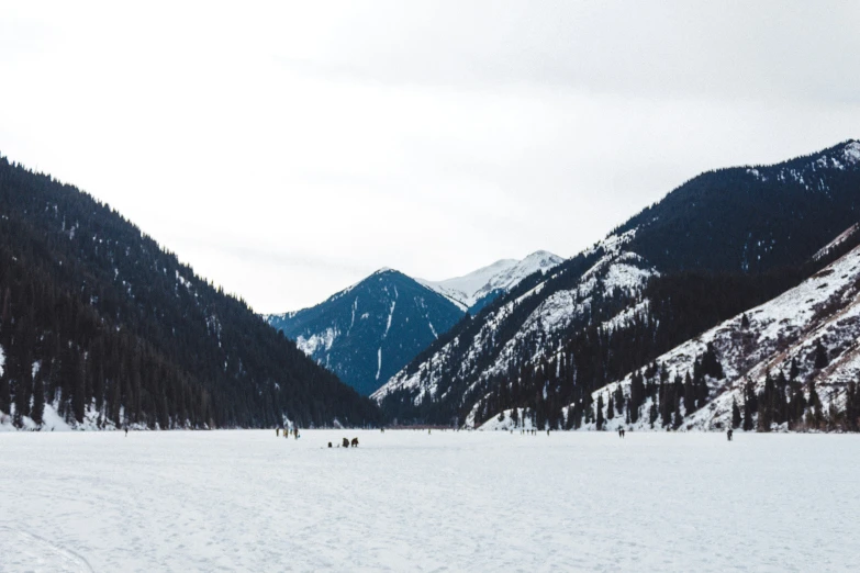 some very pretty mountains covered in snow and some trees