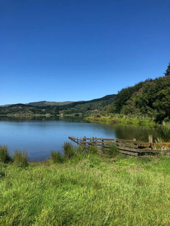 a lake is surrounded by a green forest