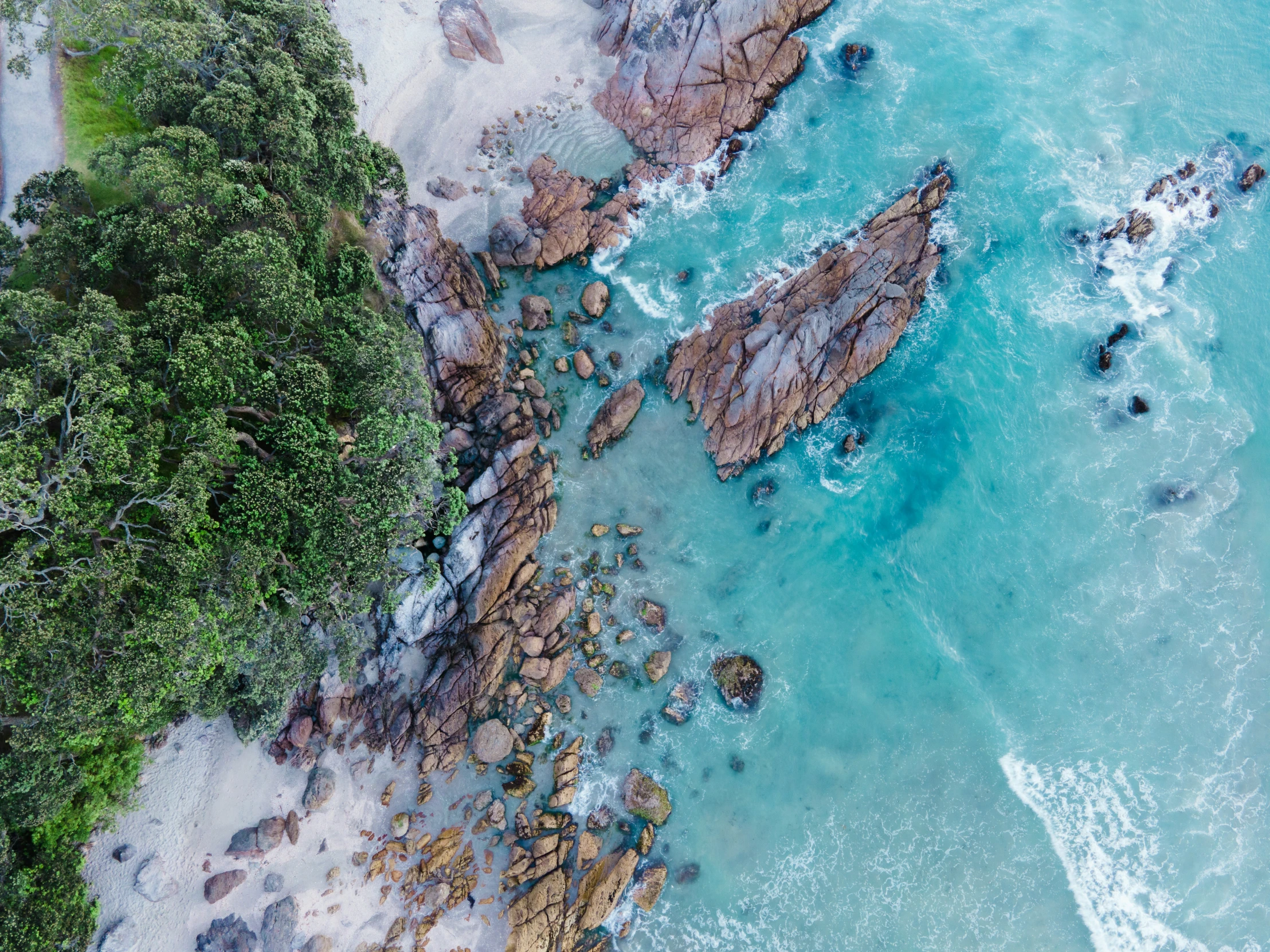 aerial view of rocky shore near forested area