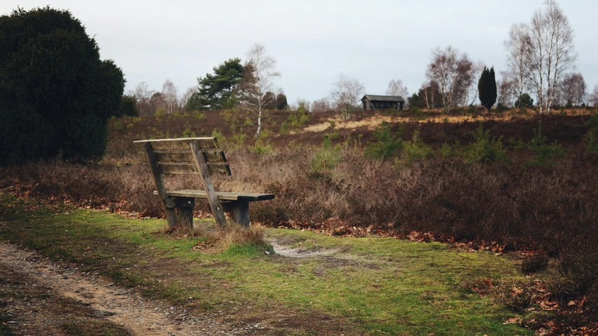 the bench on the path has fallen into the grass