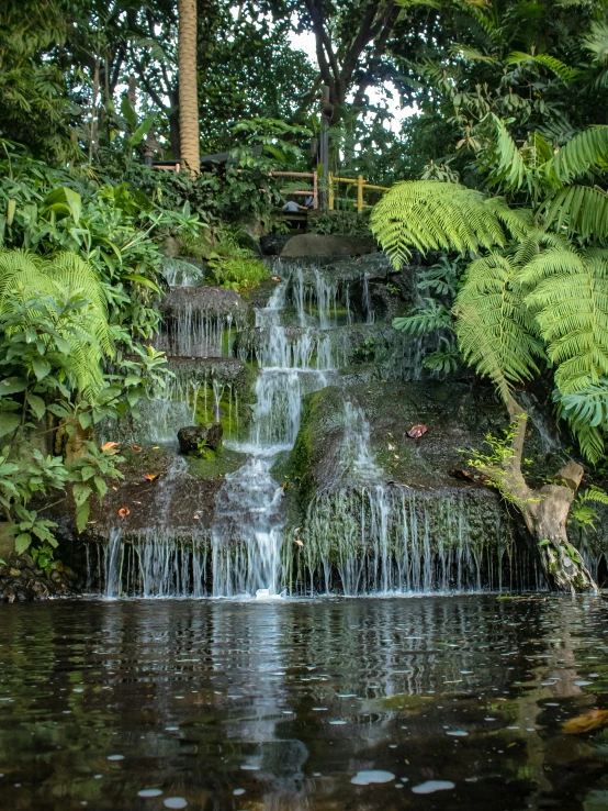 a waterfall in a garden with lots of plants