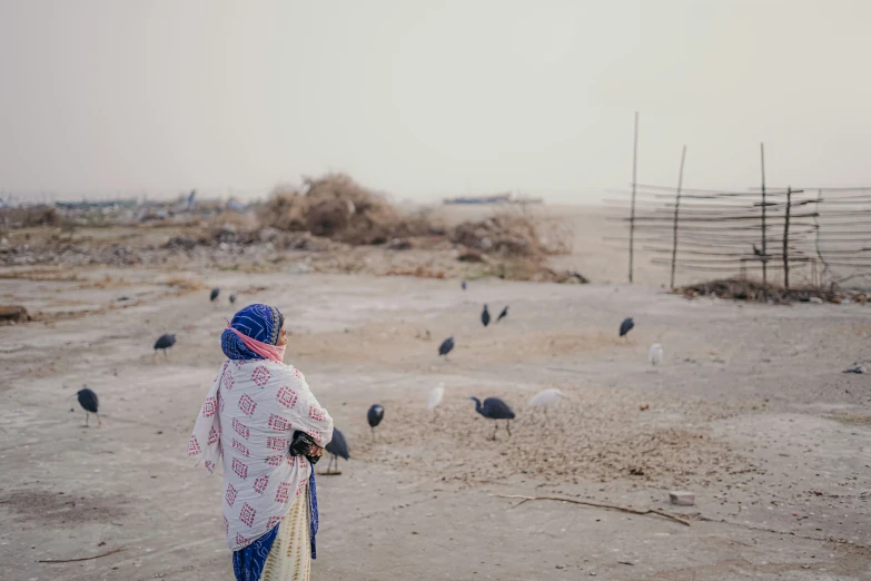 a lady looking at the birds that are perched in the field