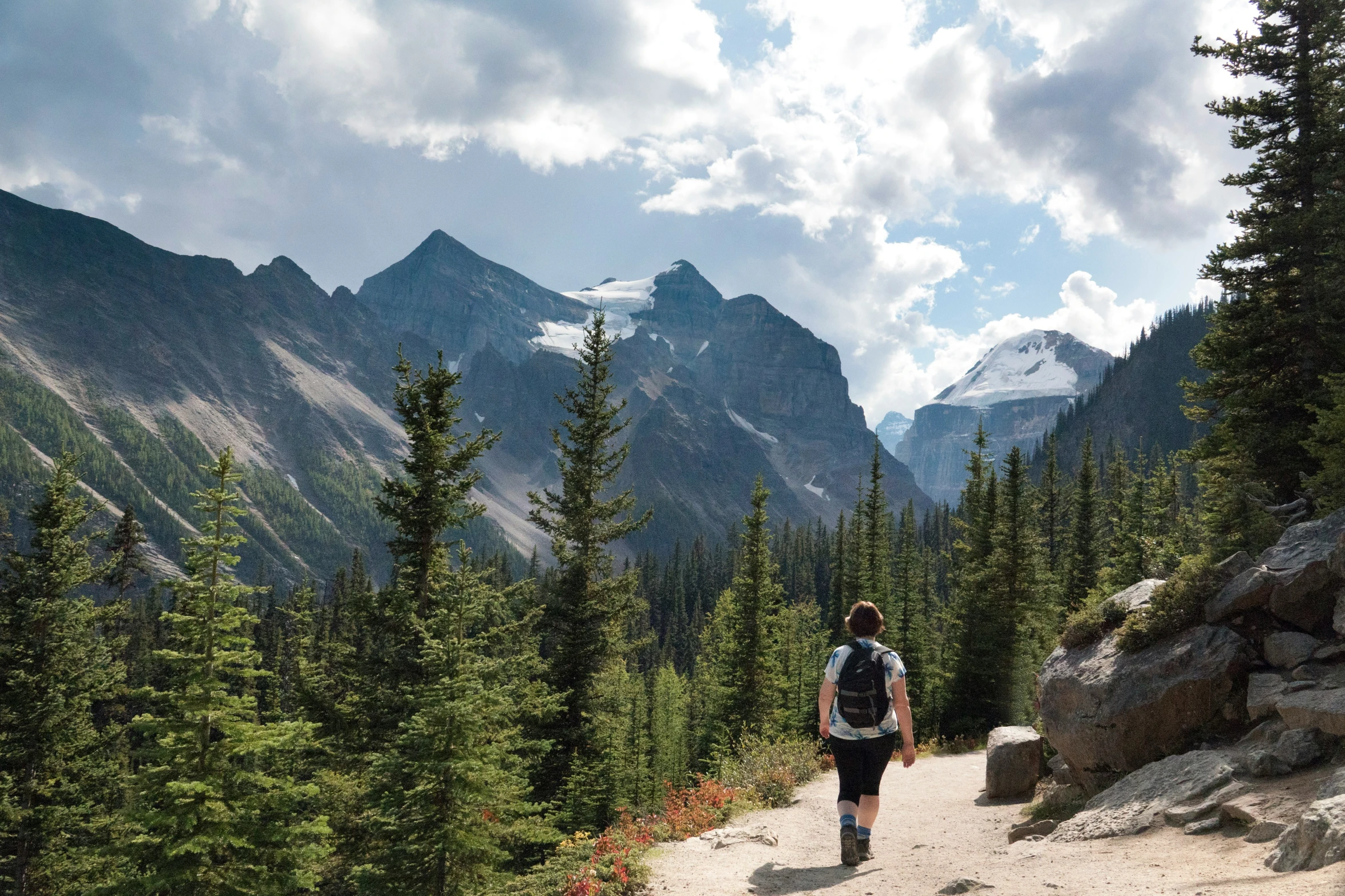 a man walking down a trail with trees on either side