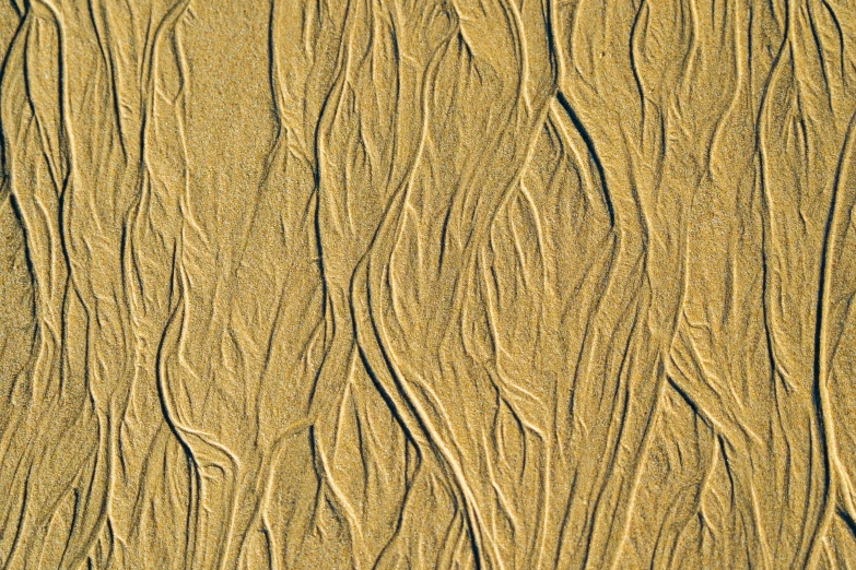 an abstract picture of waves coming out from the sand