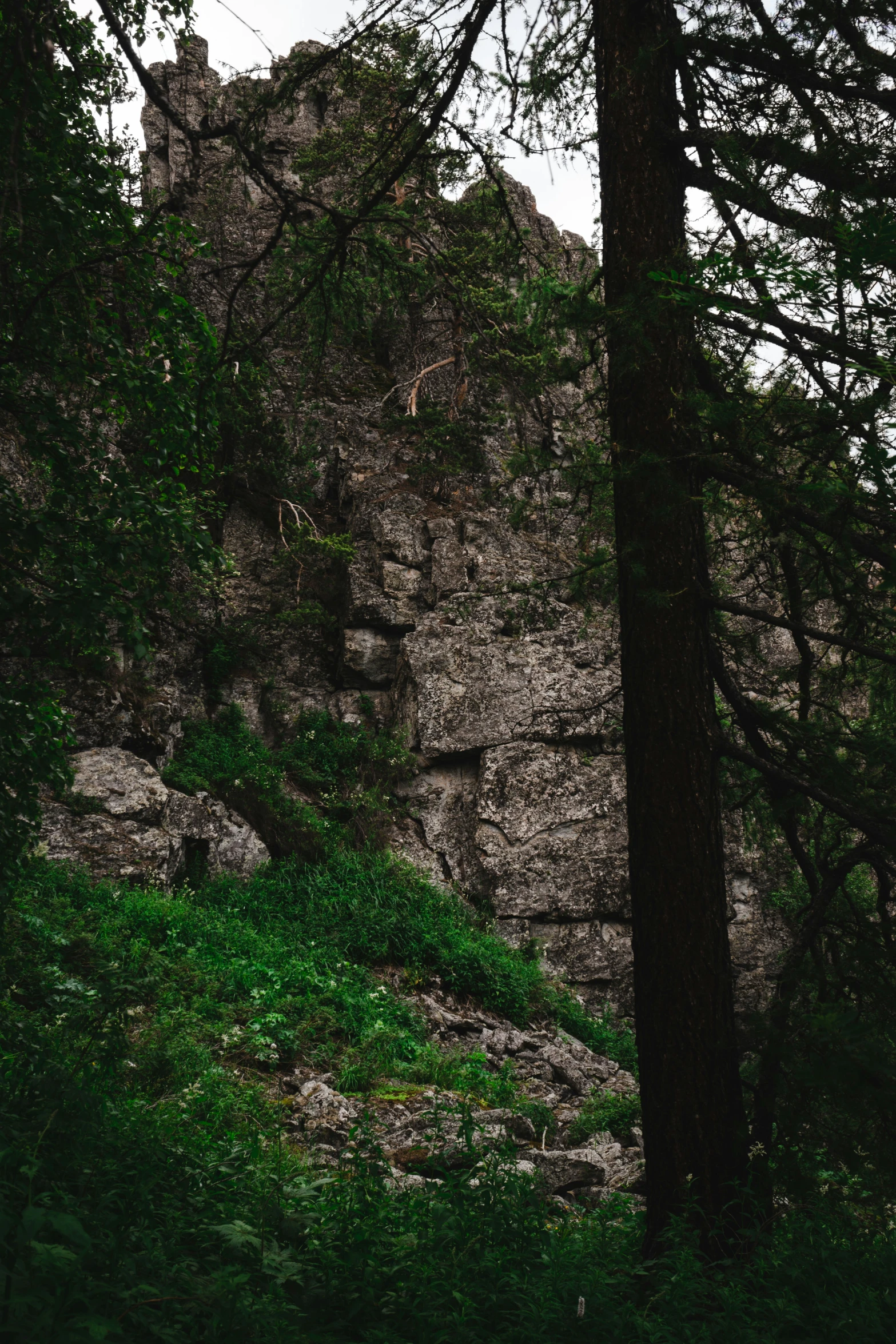 a man is walking across a grassy hill