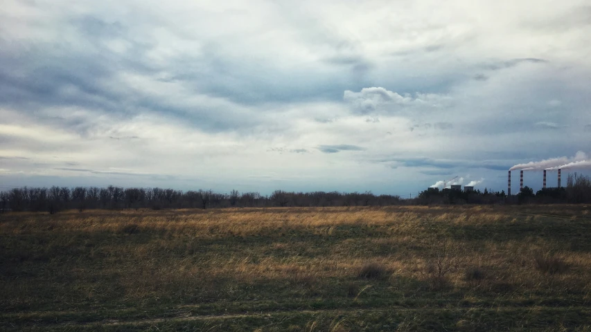 the field is full of brown grass and power lines