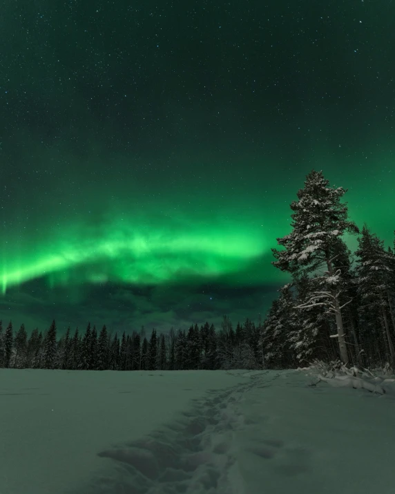 green and red aurora bore over snowy landscape