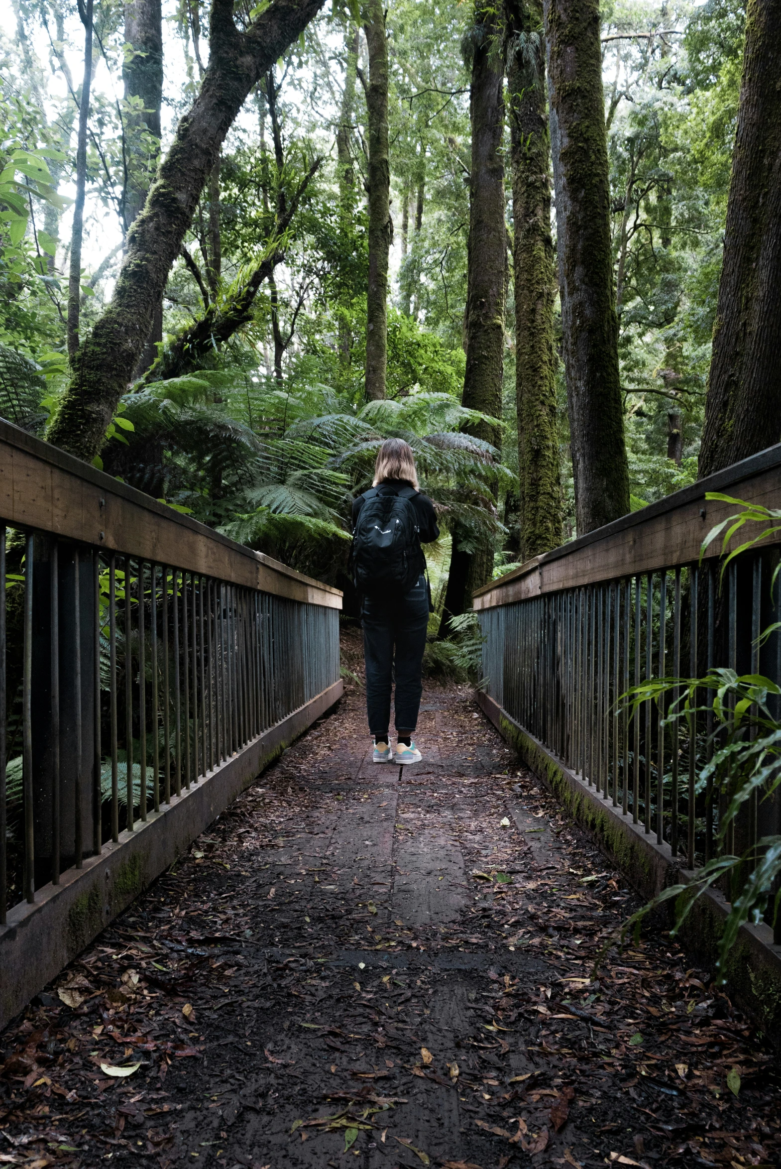 a woman is standing alone on a bridge in the woods