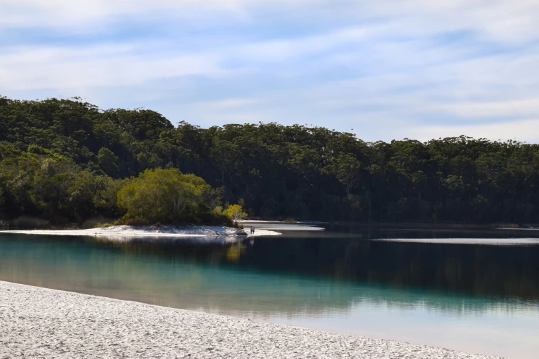 water on a clear and calm day with trees in the background