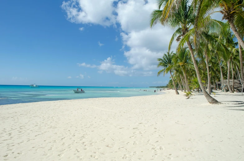 a beach with palm trees, a boat and people on it