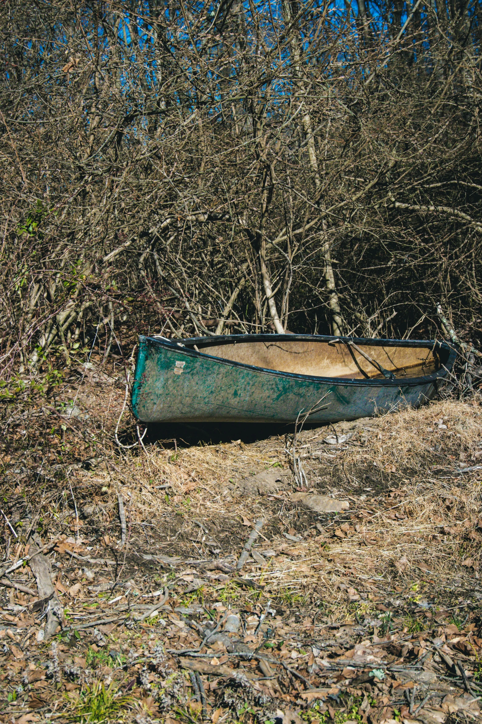 a canoe sitting on the ground among trees