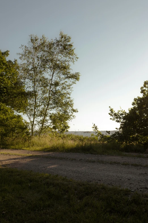 this is a dirt field with trees in the background