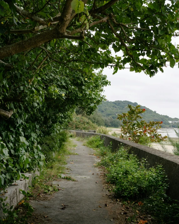 an image of a path on the side of the road