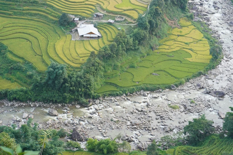 an aerial view of the rice terraces, with a river running through them