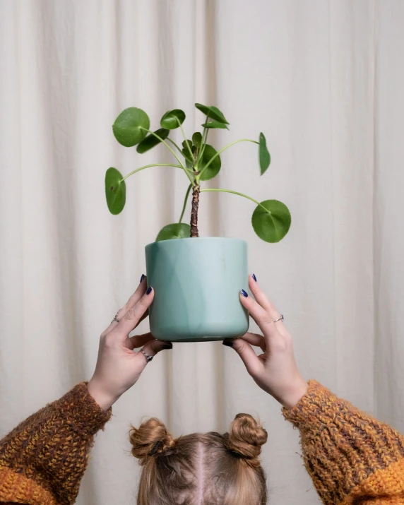 two people reaching up to each other with a plant on top of it