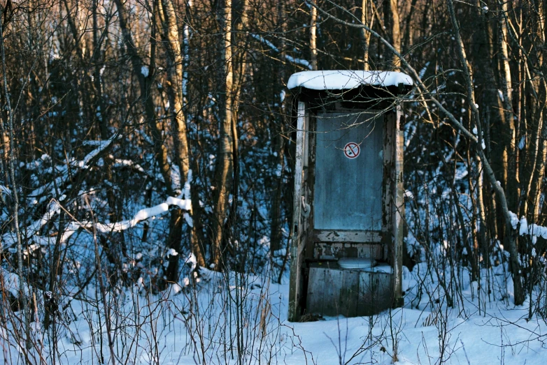 the outhouse sits in the middle of the woods