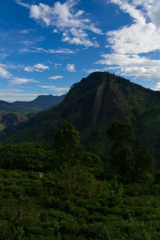 the mountains are covered with many green plants