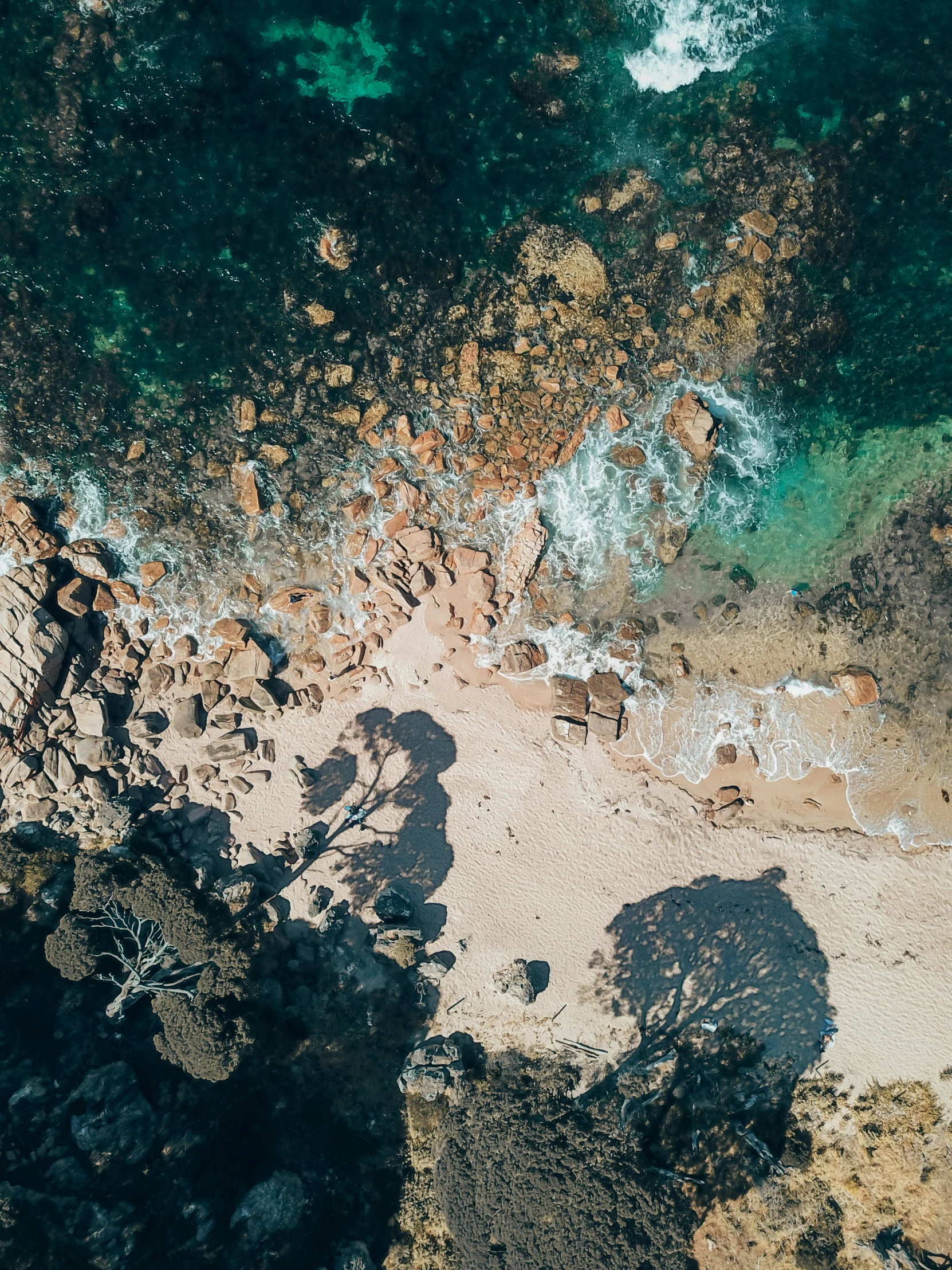 aerial view of rocky beach with water and rocks