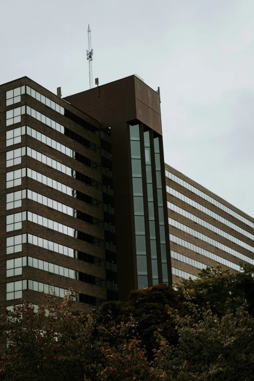 two tall buildings sit on the top of trees