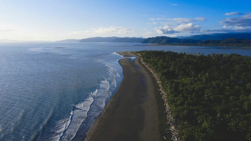 an aerial view of trees line the shore line