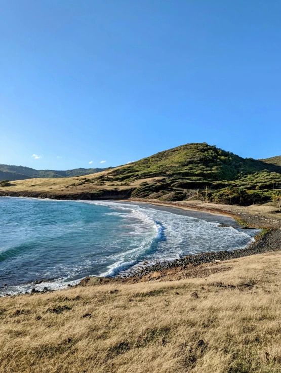 an animal walking along the beach next to the water