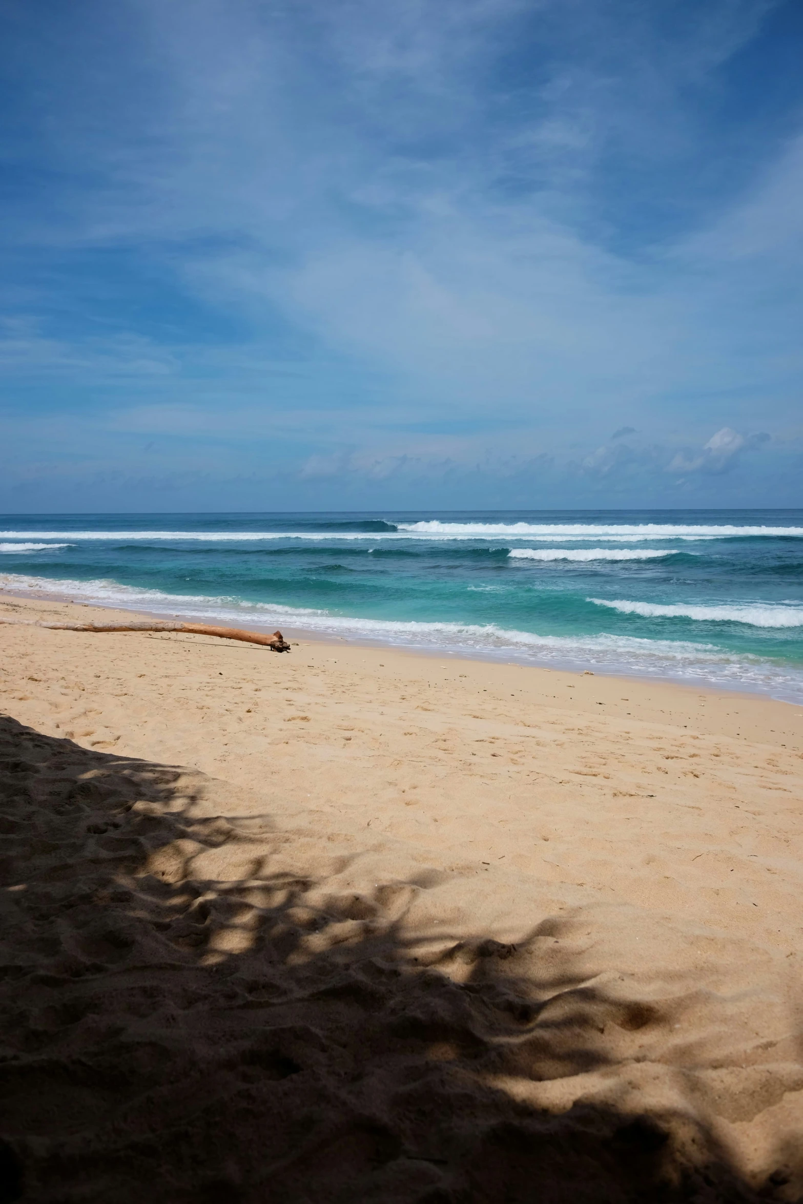 a single driftwood bench is lying on the beach