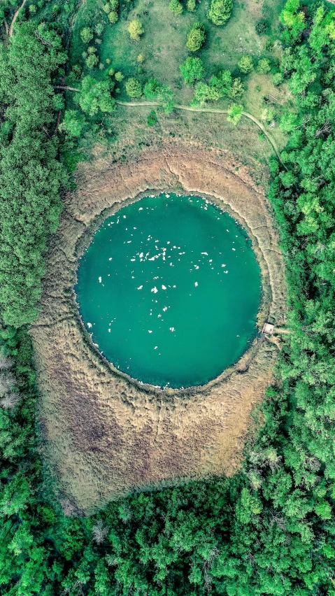 a blue water surrounded by some trees and bushes