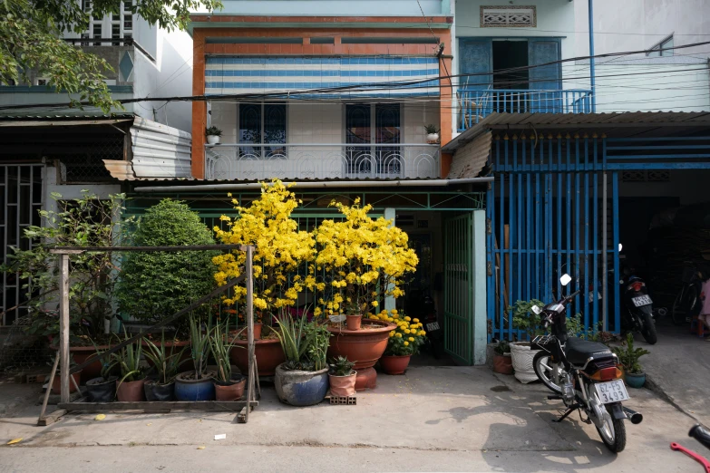 a motor scooter parked next to a building with plants growing in it