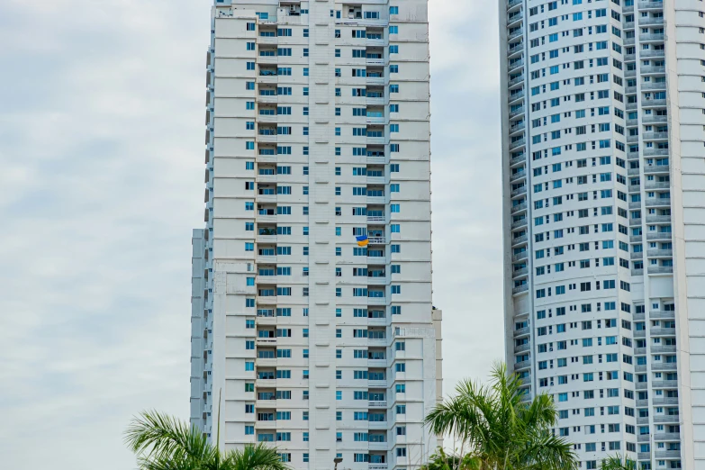 three white buildings are next to some palm trees