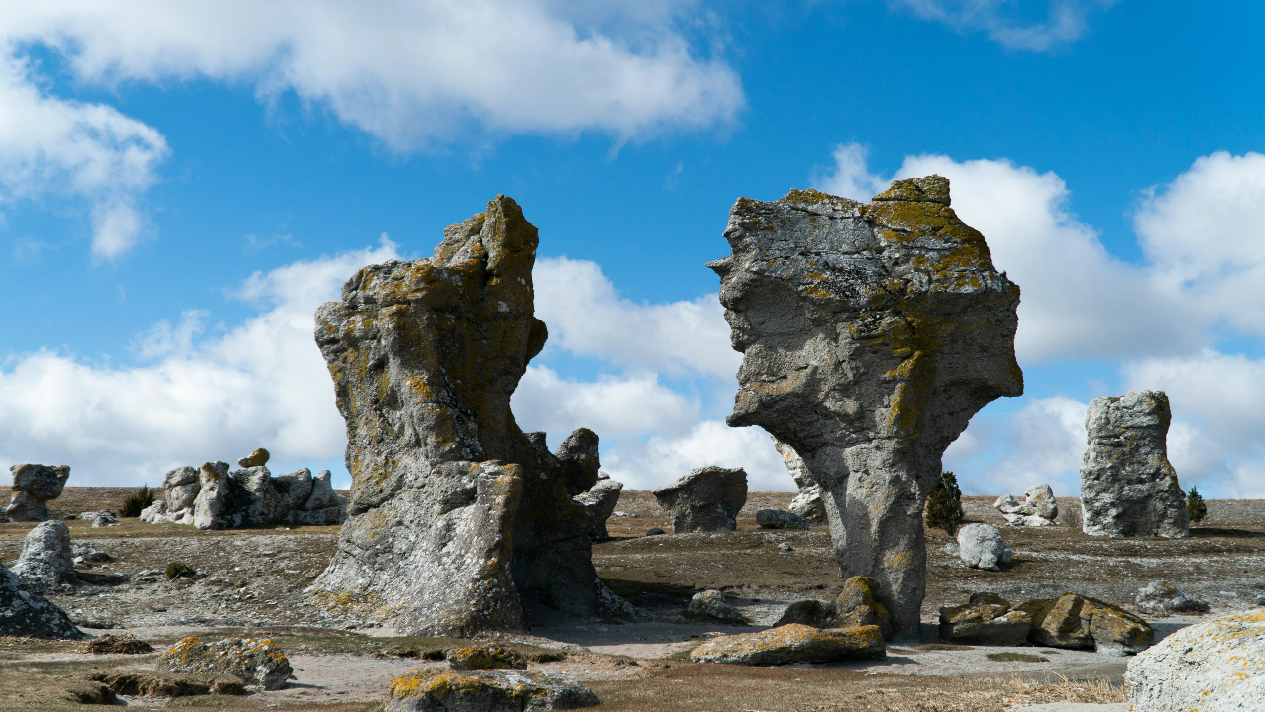 the rock formations of pinnacles and other rocks in the desert