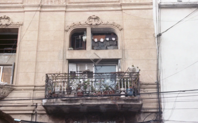 a view of the back deck of a building with many plants growing out of the windows