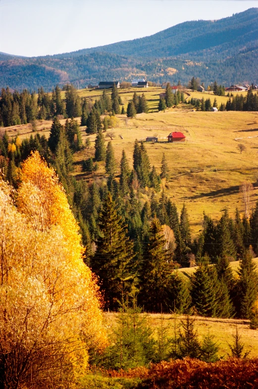 trees in the field below a hillside with a house