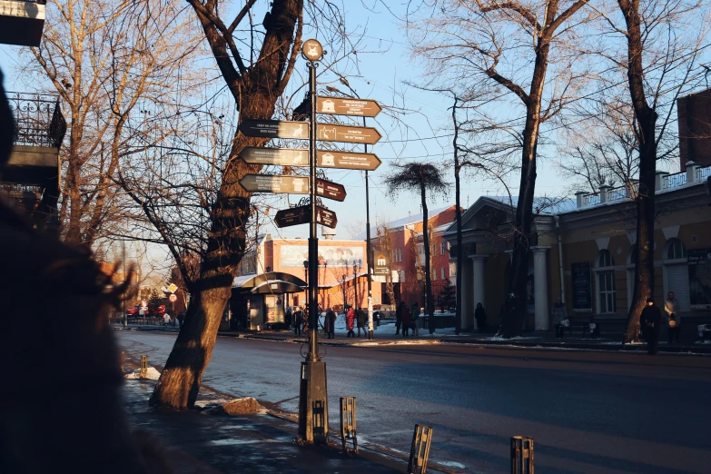 the tree has signs on it and there is a person walking