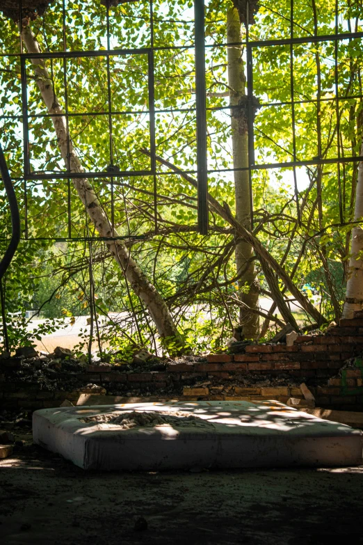 an old mattress sitting beneath a trellisd tree