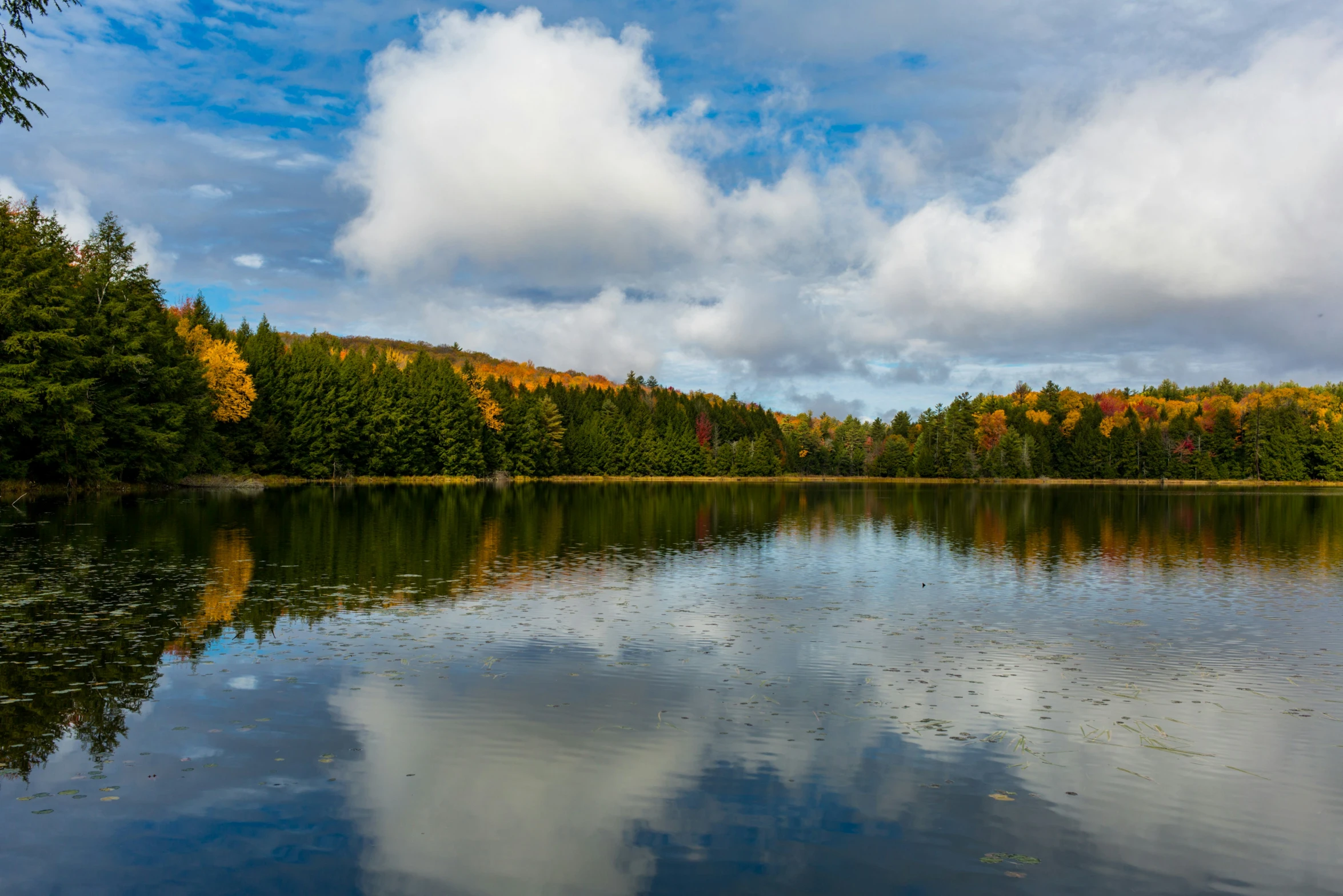 a lake surrounded by some trees with clouds above