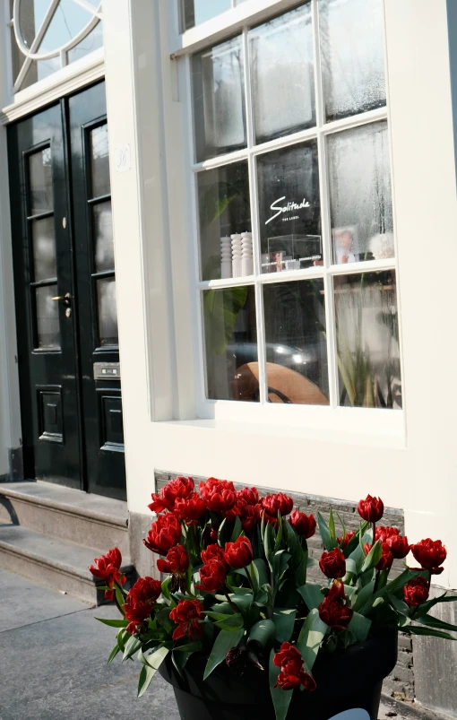 there are flowers in a black pot