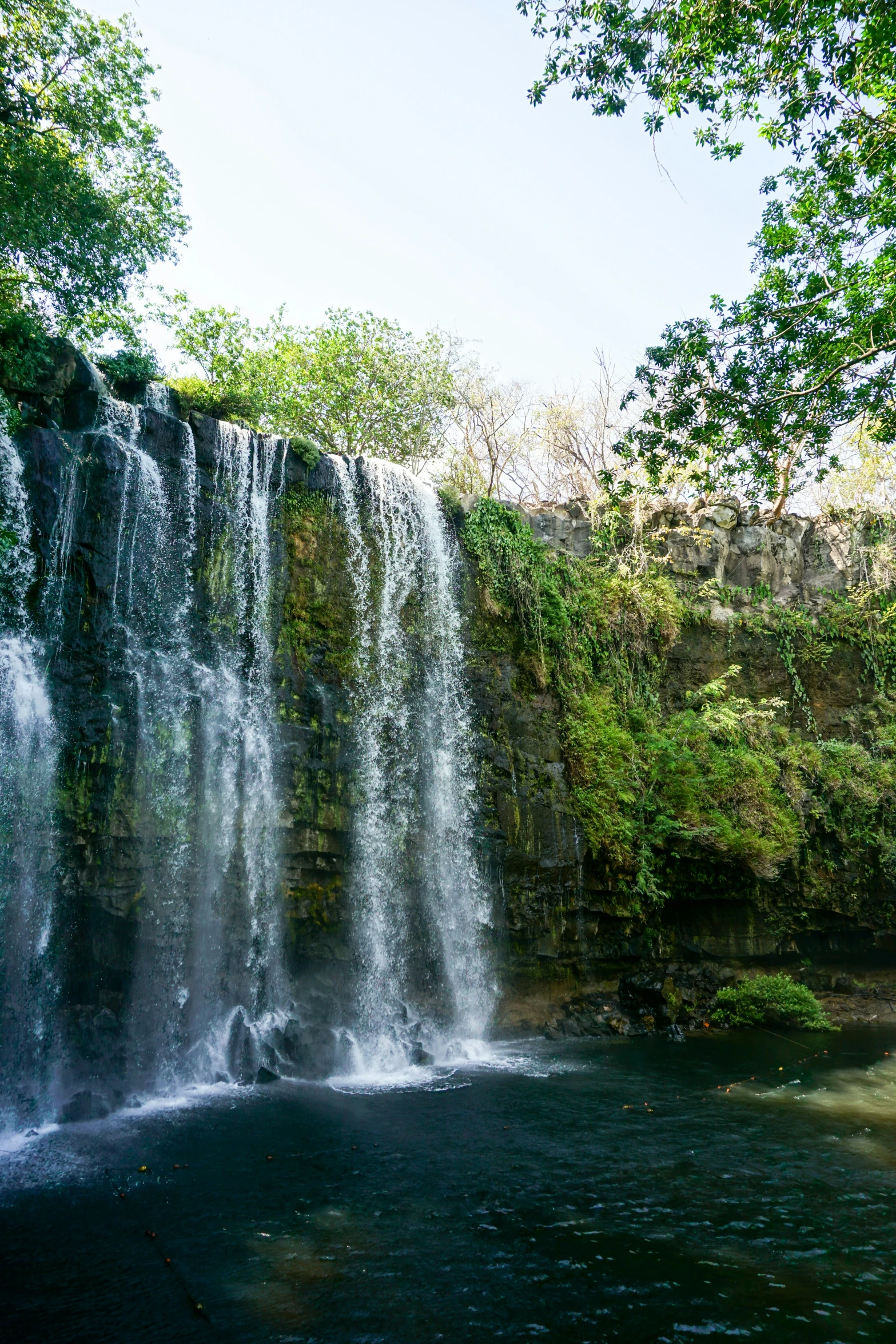 large waterfall falling into a pond surrounded by greenery