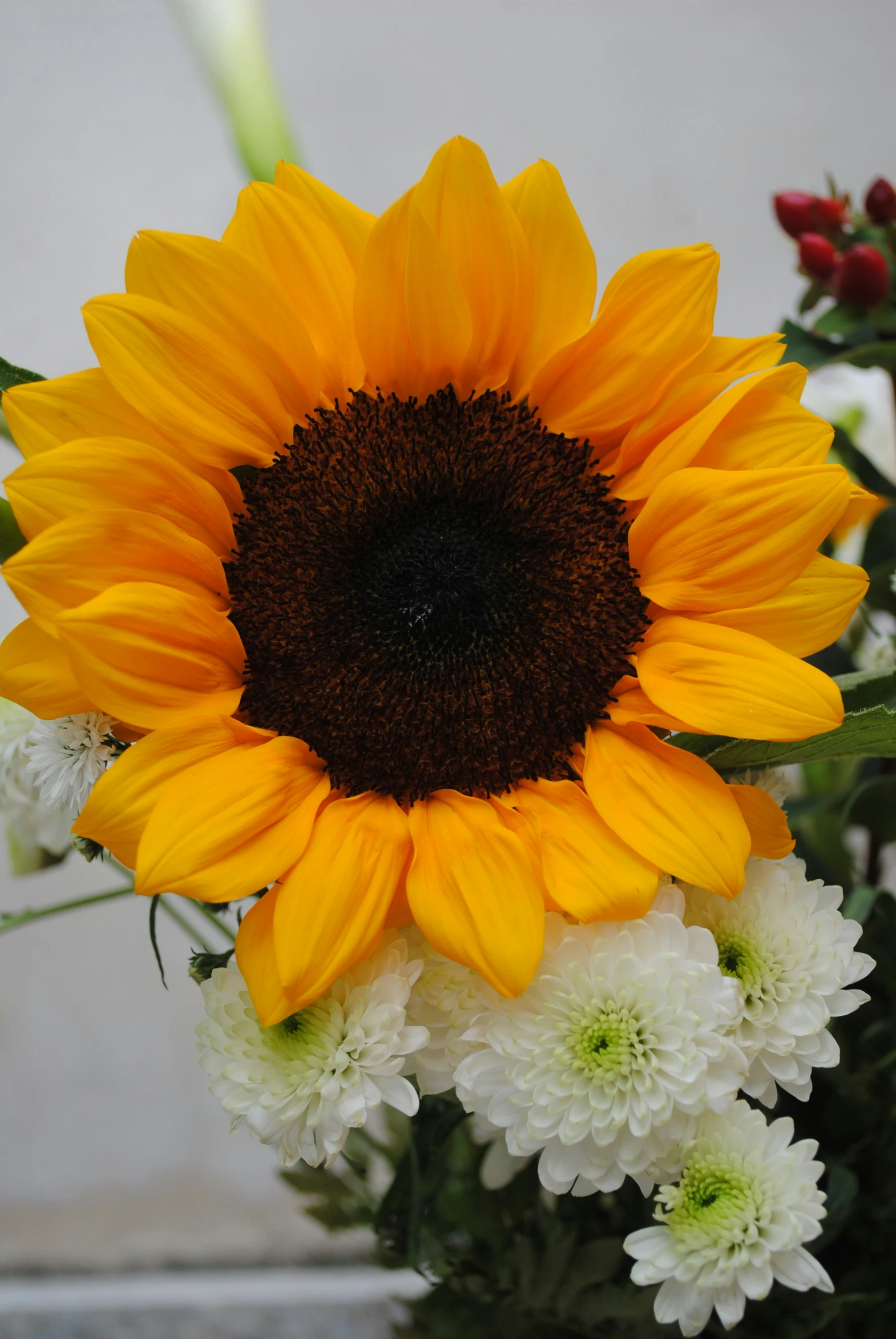 a sunflower is displayed in a vase filled with flowers
