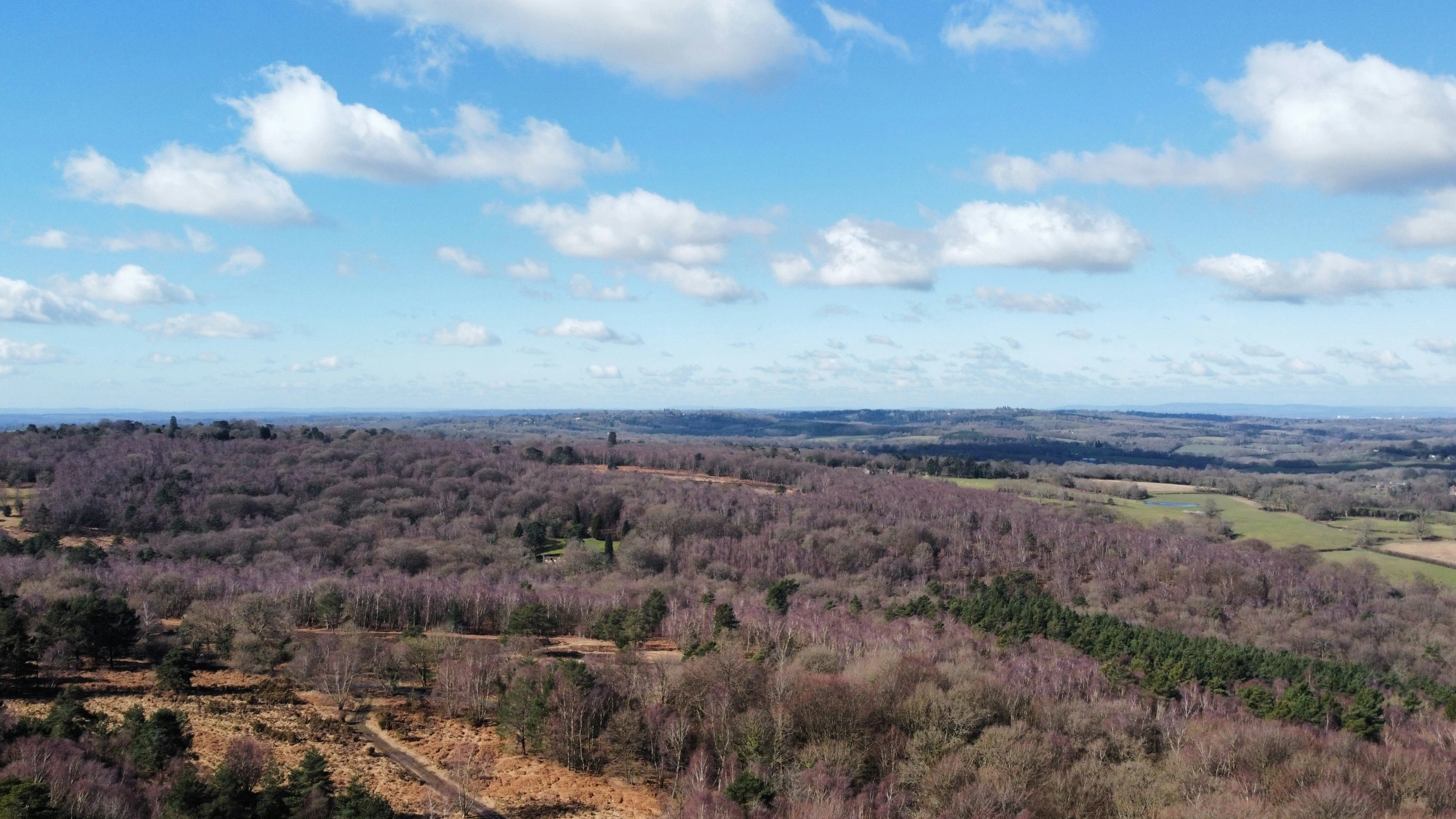 an aerial view of trees and countryside during the day