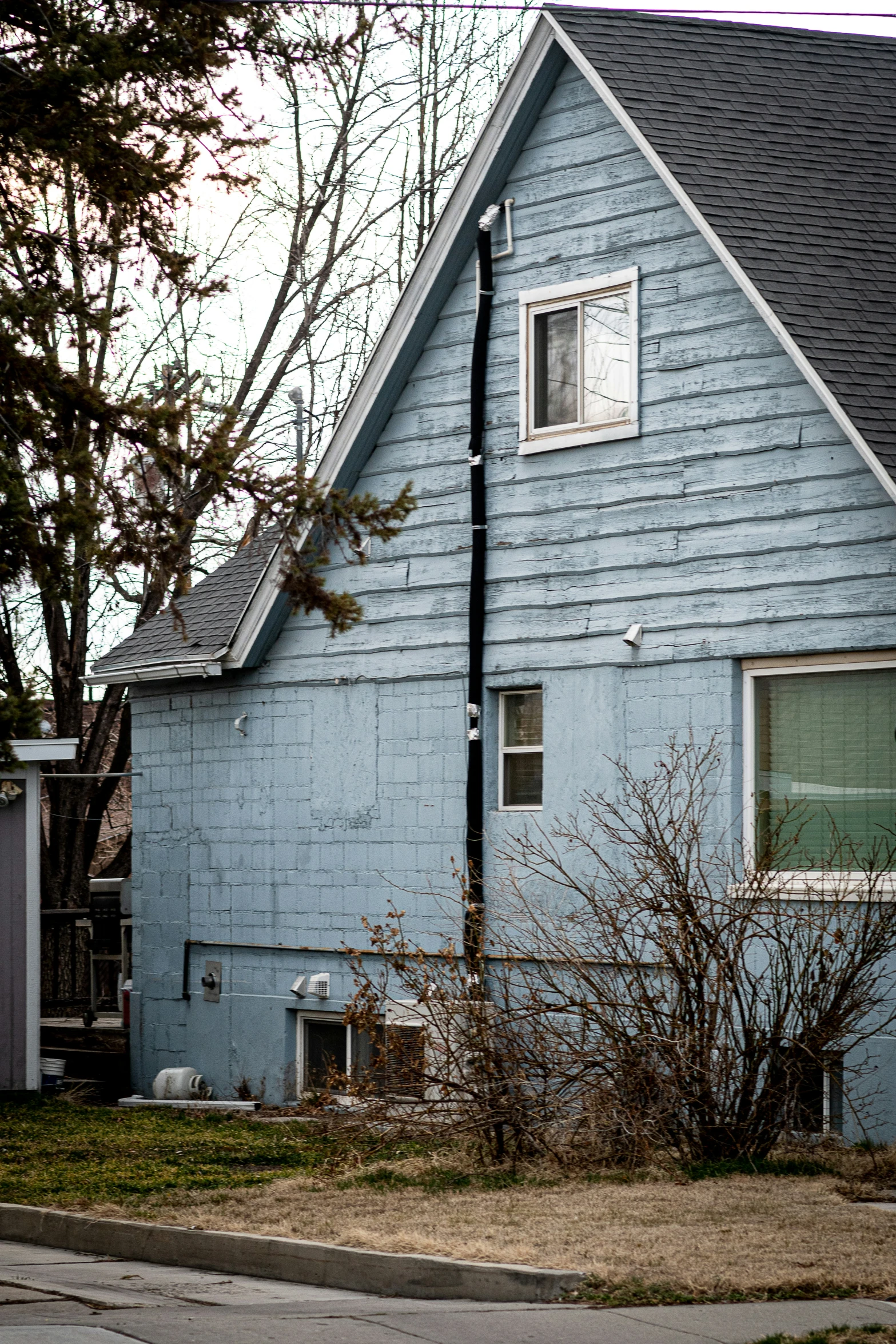 the house is very cute with its blue roof