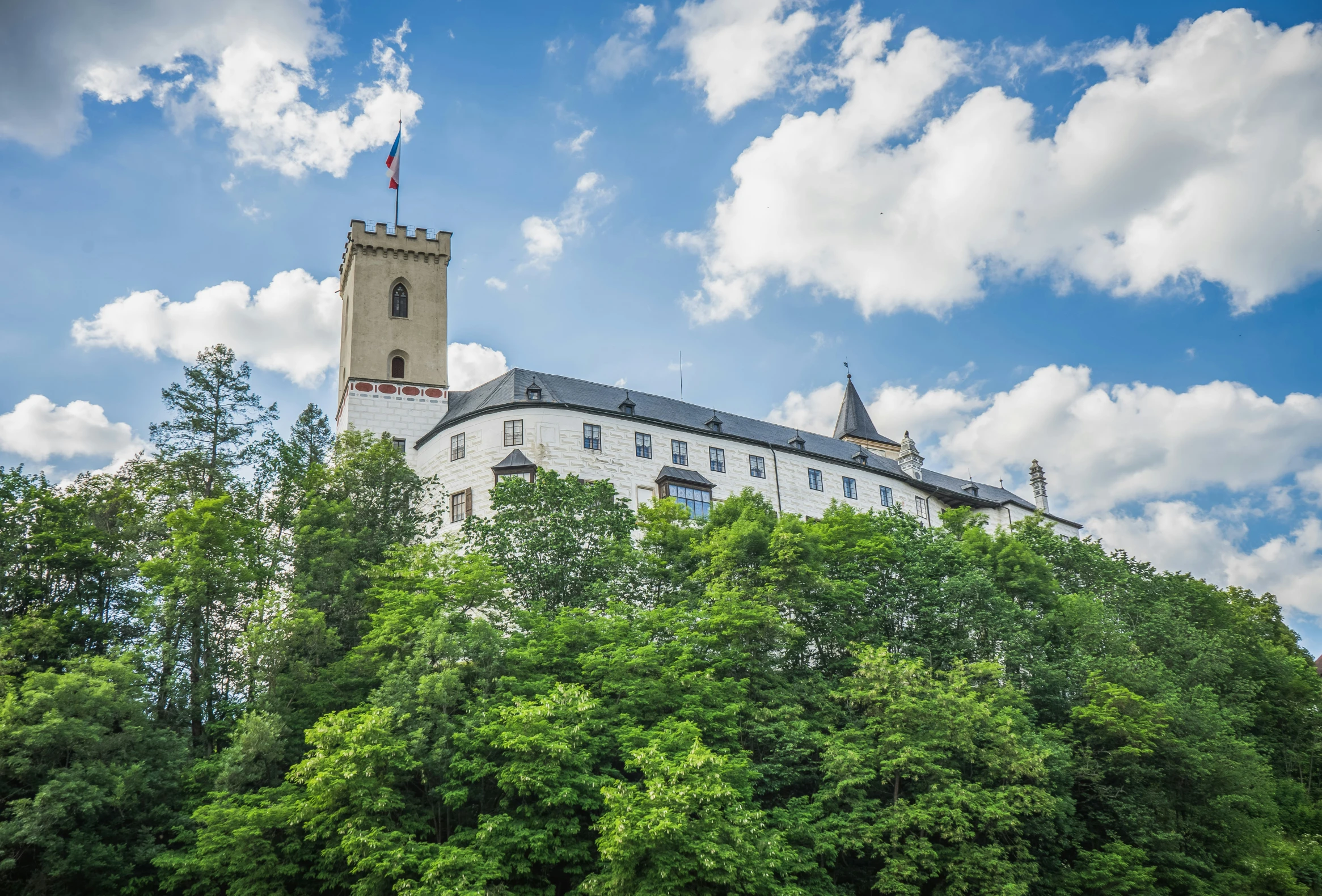 the very tall building is near a large forest