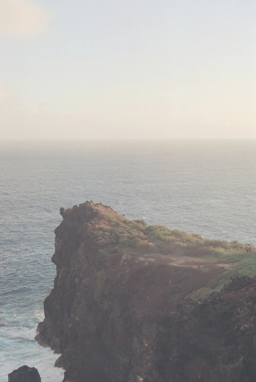 some animals grazing on an open cliff next to the ocean