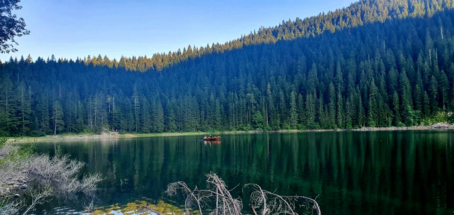 a lake surrounded by trees and a forest