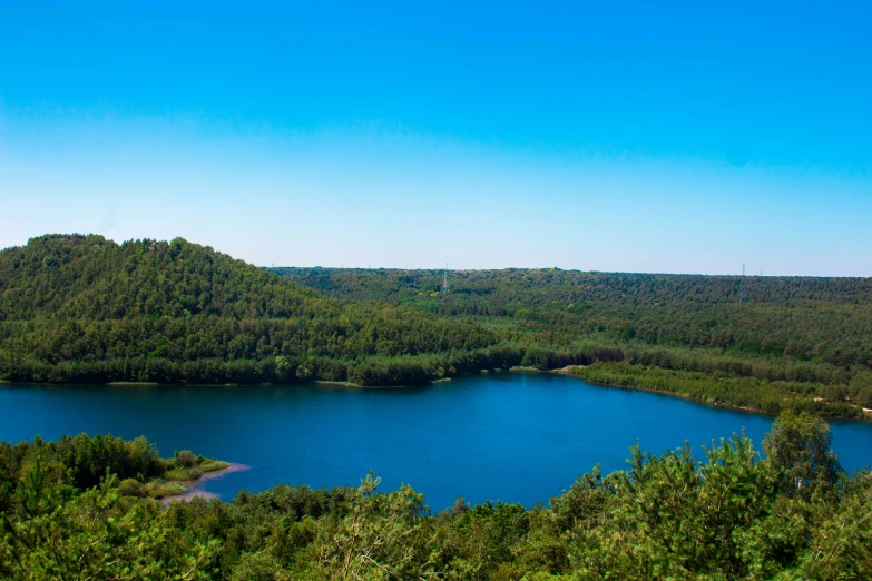 a large body of water surrounded by forest