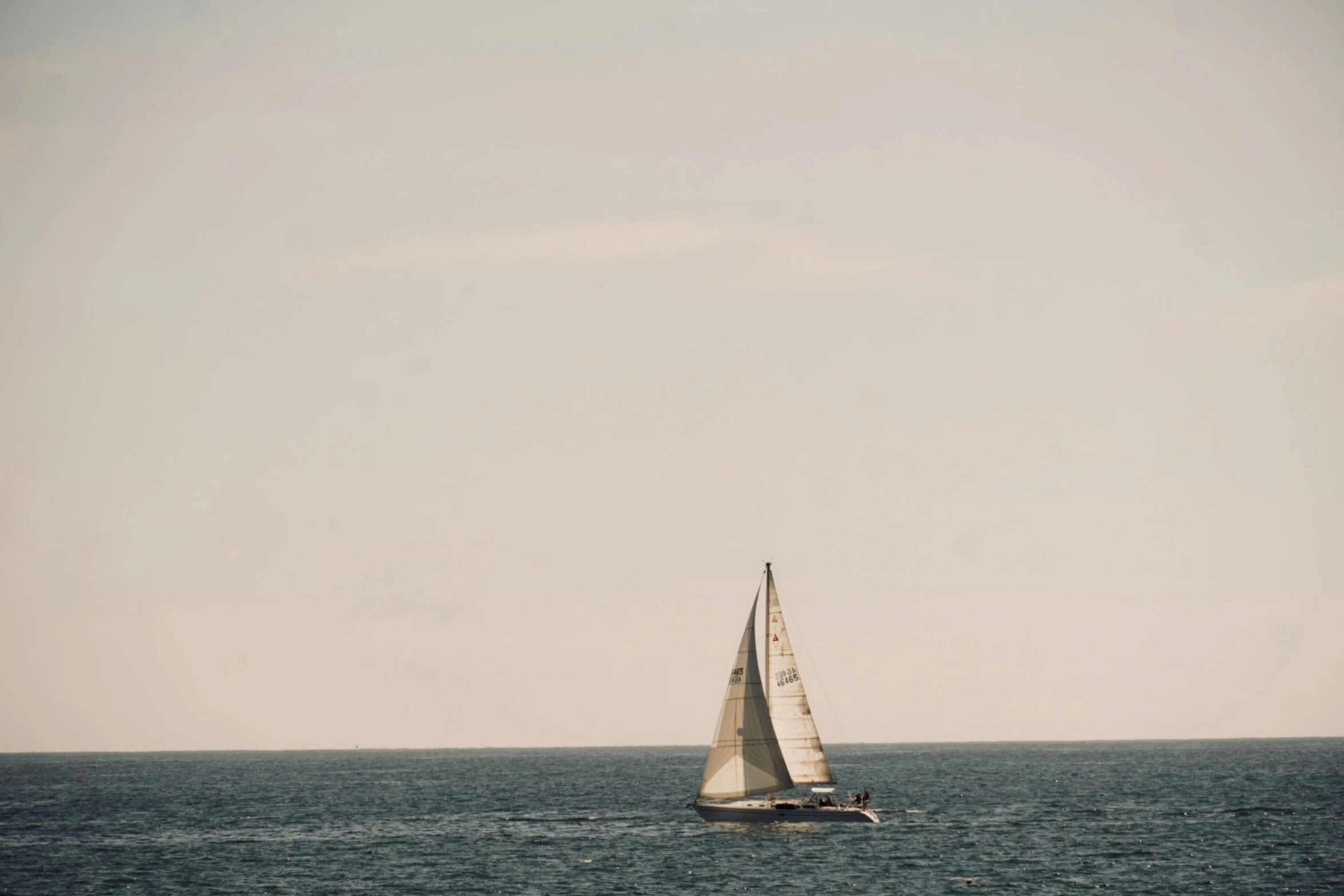 a white sail boat is sailing along the ocean