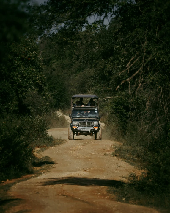 a four - wheeled vehicle drives through the woods