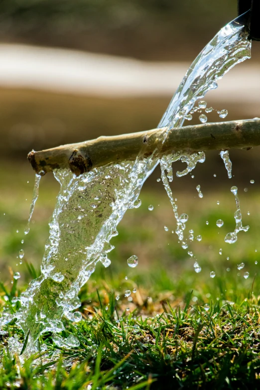 there is water flowing out of a spigot