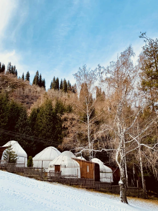 yurt houses sit in the snow near a forest