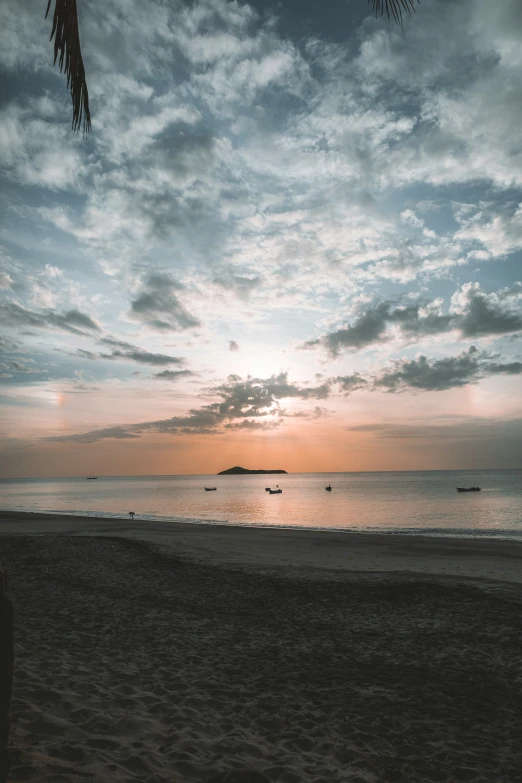 the sun is setting on a beach near a palm tree