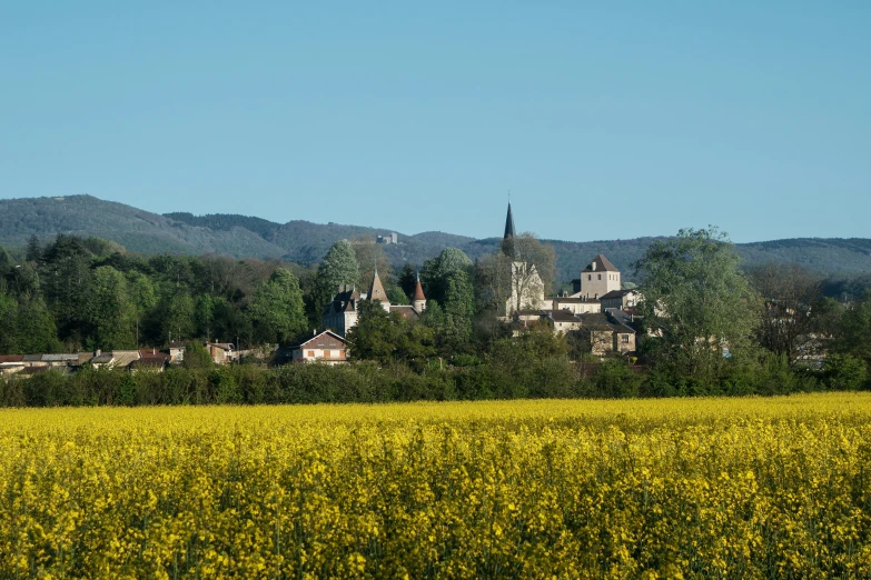 a countryside area has a house, mountains and trees